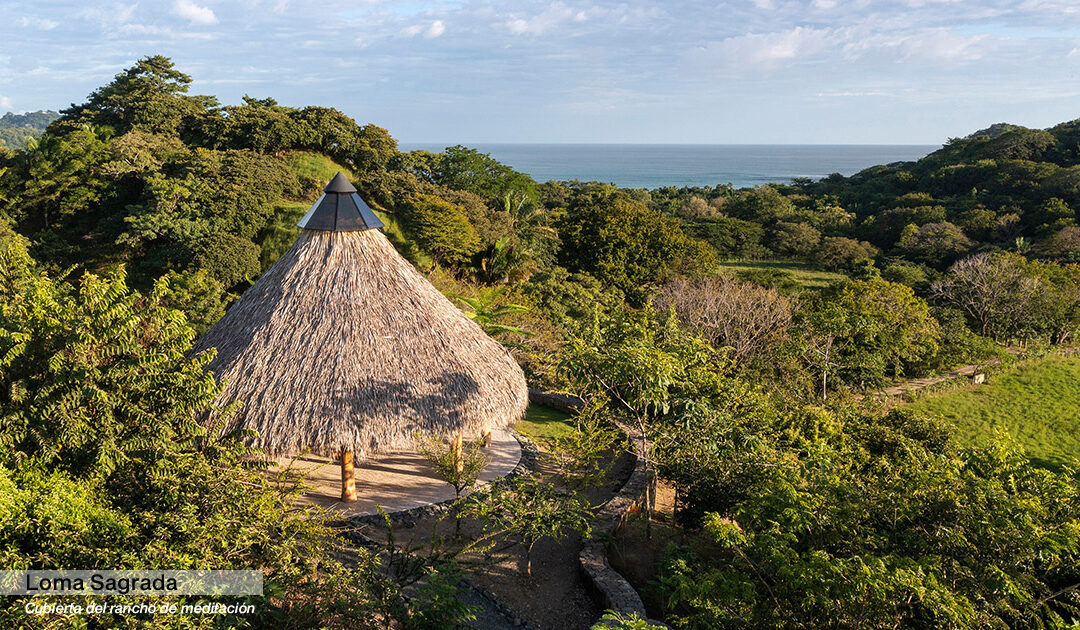 Natural roofs